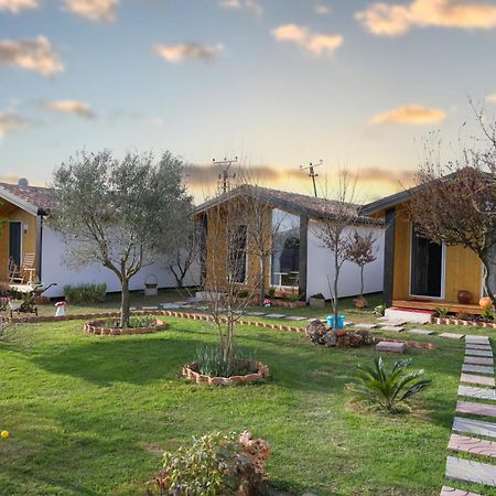 Hotel Villa Linda Shkodër Екстериор снимка
