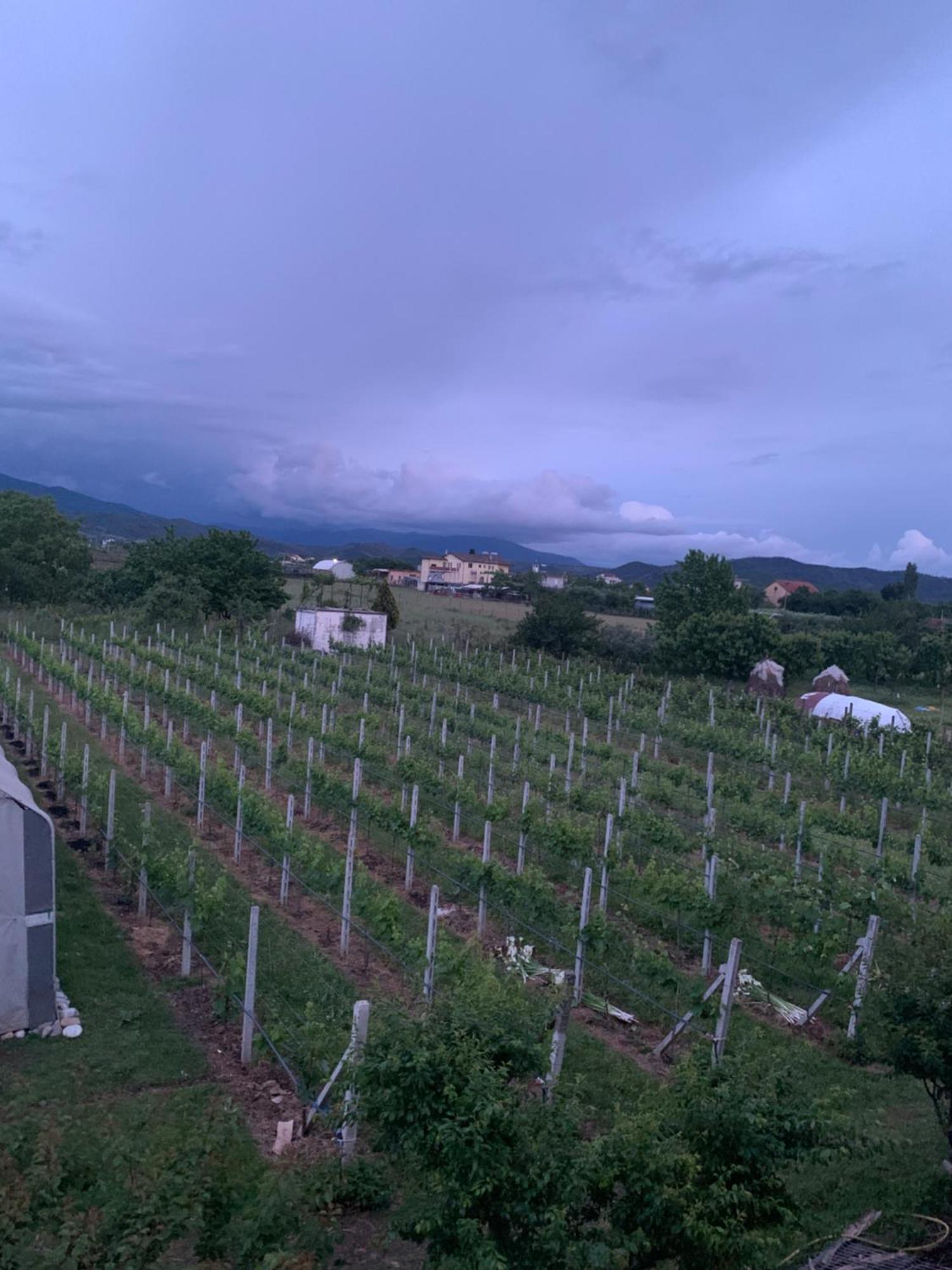 Hotel Villa Linda Shkodër Екстериор снимка