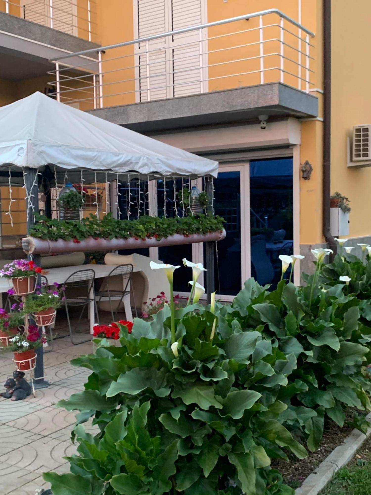 Hotel Villa Linda Shkodër Екстериор снимка